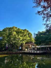 上海人民公園，好天氣裏的絕美出片聖地