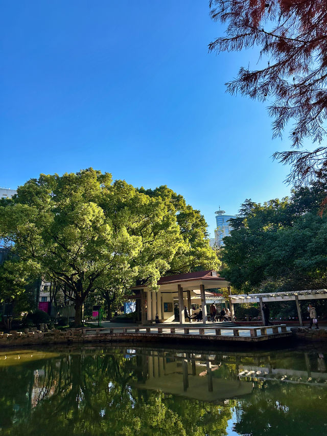 上海人民公園，好天氣裏的絕美出片聖地