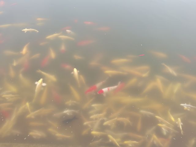 九華山——大願文化園