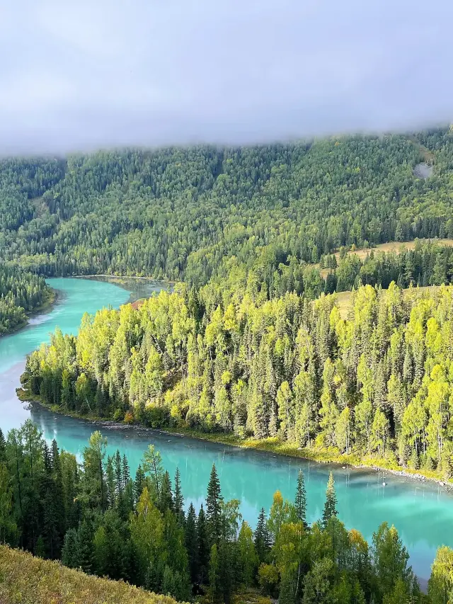 5일 알타이 여행 노년층 여행 추천