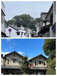日本豐岡市：自然美景與溫泉文化的完美融合