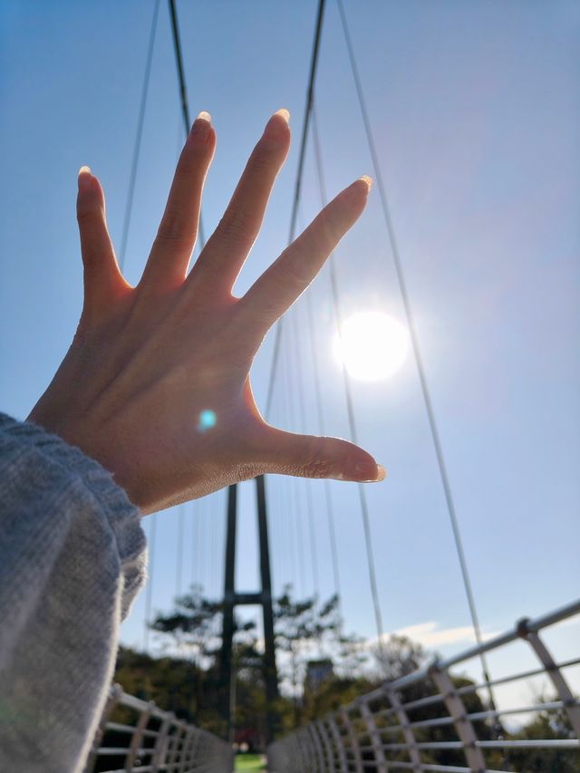 挖到佛山洗肺遊玩點南山山攻略