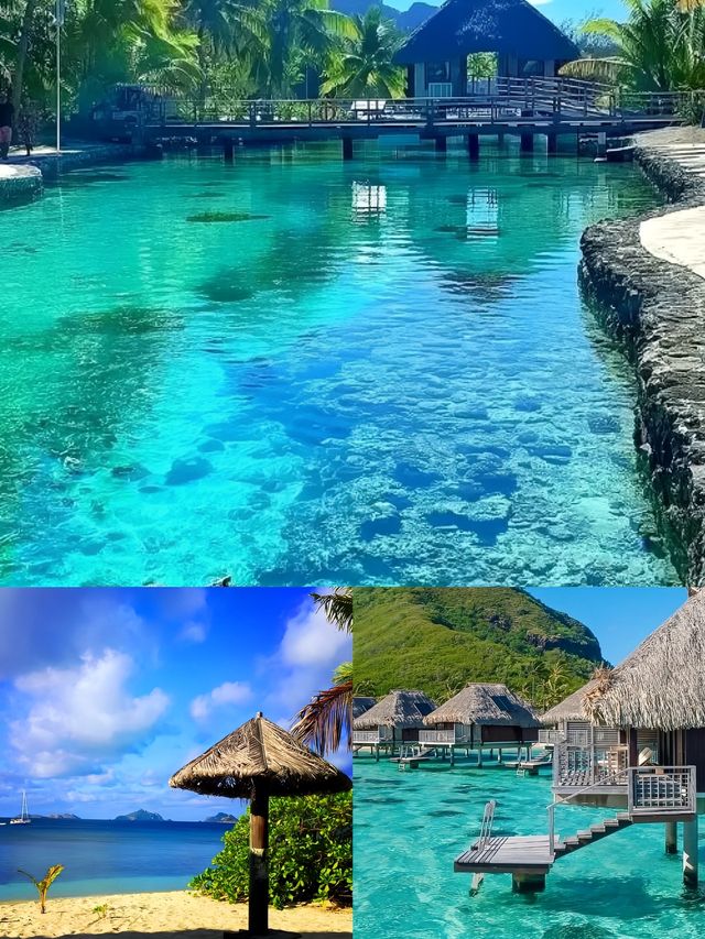 馬洛洛島：兩日邂逅南太平洋的夢幻詩篇