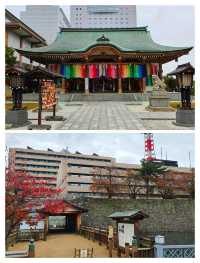 解鎖小眾寶藏地，日本福井深度遊攻略。