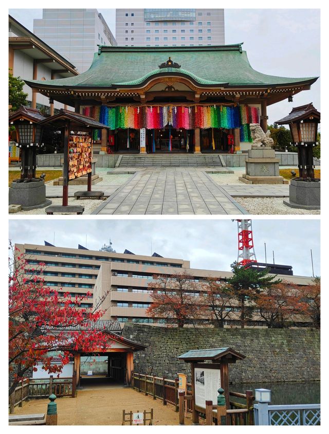 解鎖小眾寶藏地，日本福井深度遊攻略。