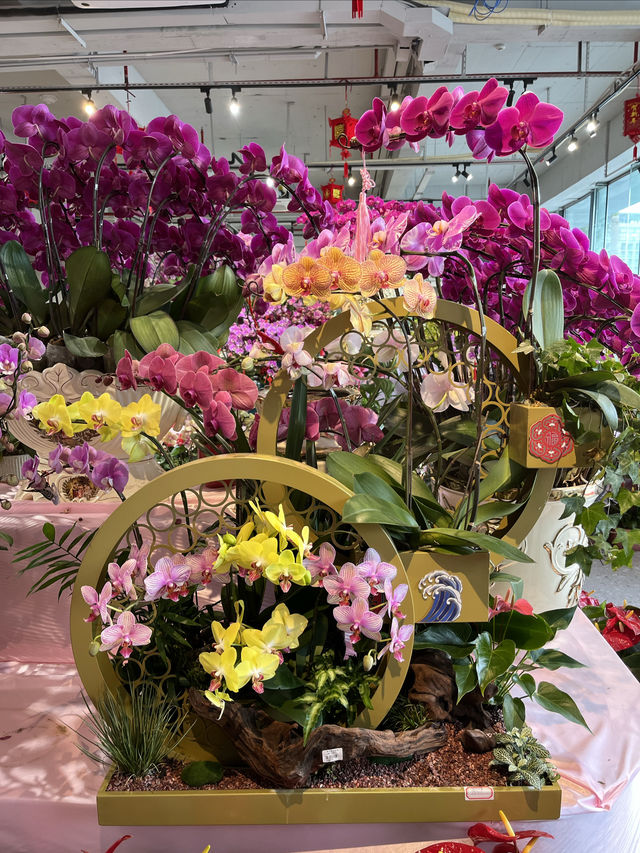 卓越中心的深圳新春花市