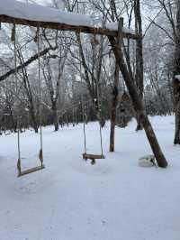 長白山-延吉森林探秘 邂逅冬日浪漫要去