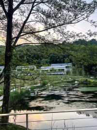 繁昌溪地阿蘭若度假村落