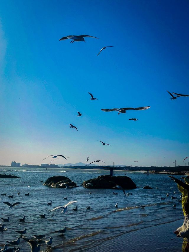秦皇島半日遊