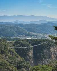 在原州市雉岳山看到了絕美的霧凇