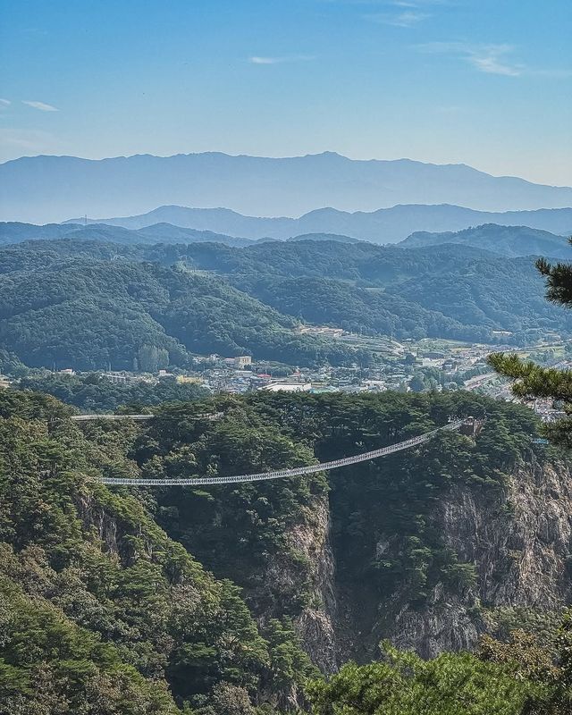 在原州市雉岳山看到了絕美的霧凇