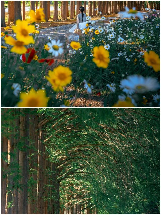 韓國論山市旅遊攻略