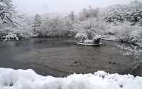 【京都· 龍安寺雪景·2025】