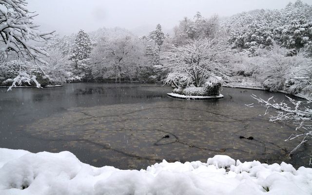【京都· 龍安寺雪景·2025】