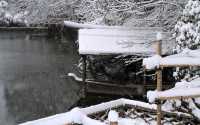 【京都· 龍安寺雪景·2025】