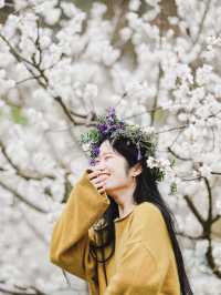 成都1.5小時直達官帽山 徒步挖野菜 太治癒了！