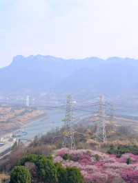 帶娃遊武漢-長江三峽-三峽大壩震撼心靈的美景之旅