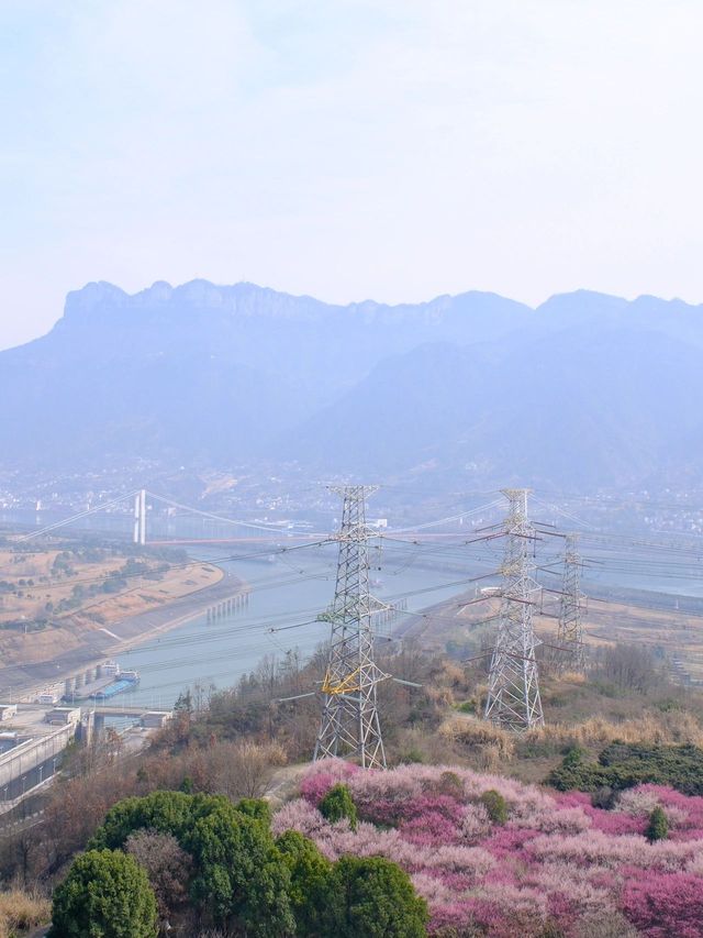 帶娃遊武漢-長江三峽-三峽大壩震撼心靈的美景之旅