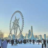 ❄️ 極寒の美しさ！ハルビン旅行レポ ❄️