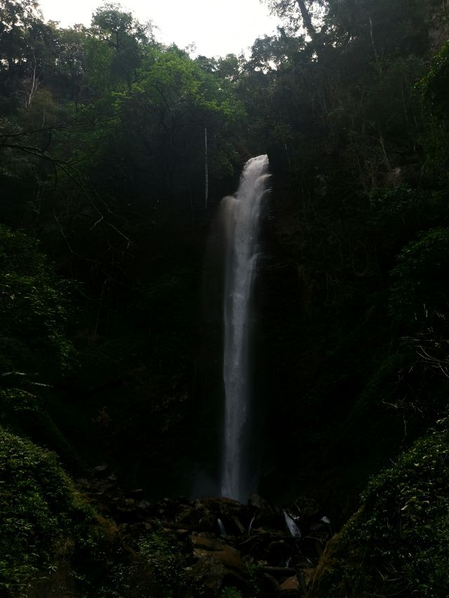 小眾寶藏地孟連，邊境的牛油果之約