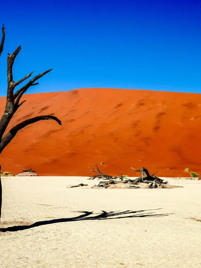 7-Day In-Depth Tour of Vietnam: Enjoy the Hot Springs