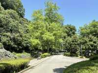 探索德島綠肺：中央公園，城市中的自然樂園！