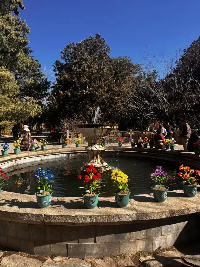 因為一首歌來到一座城|羅布林卡