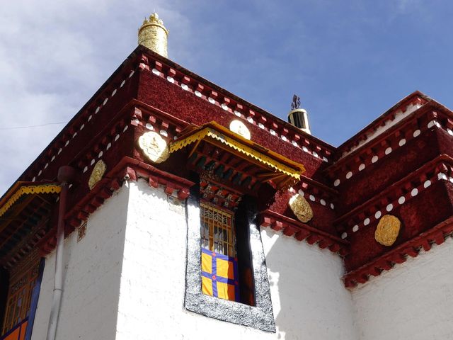 入藏最全保姆級攻略，唔睇真係會走寶