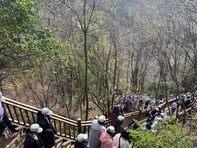 《會澤秘境：十公里徒步遇見時光的褶皺》