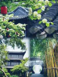 不輸揚州！江蘇最慢小城泰州攻略來啦！