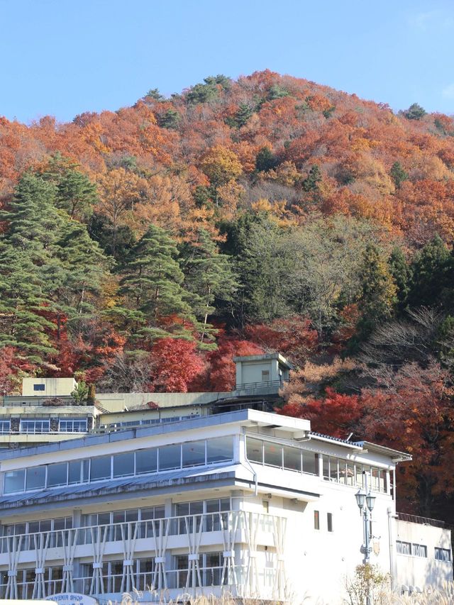 3天玩盡日本 超詳細攻略來襲