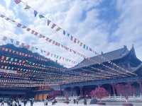 東華禪寺深度游攻略