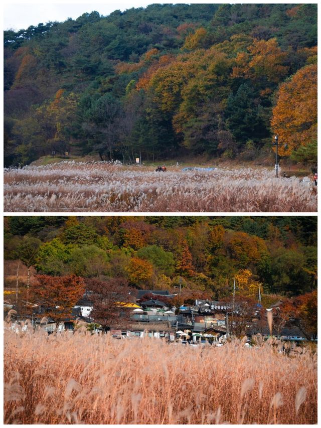 【寶藏小眾地】韓國清州，原來這麼好玩！