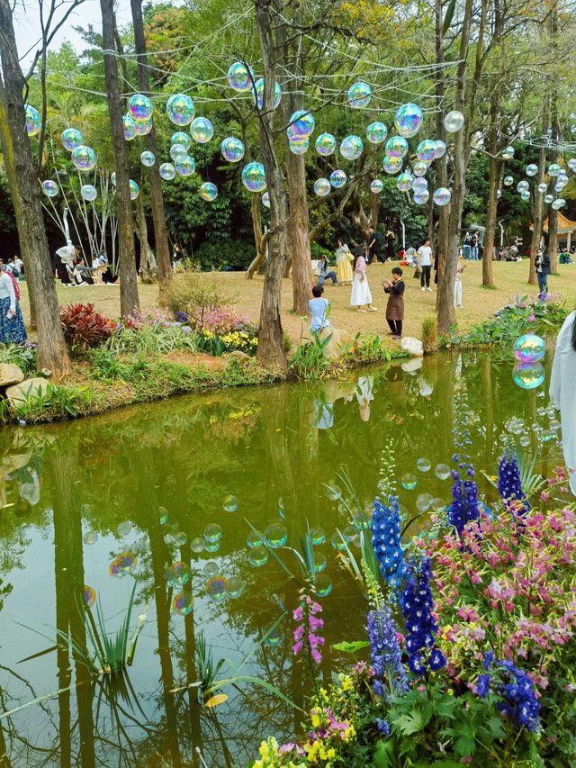 深圳版莫奈花園又有新搞作，打卡一流