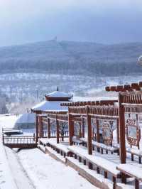 鶴崗旅遊必備攻略（超齊全）