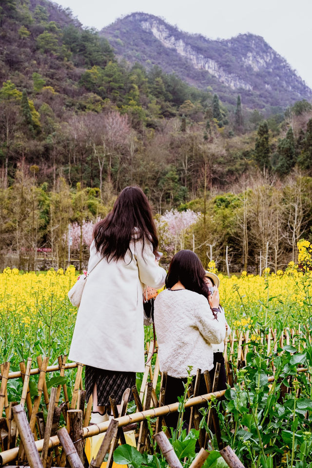 地鐵直達春日 | 在十里河灘的油菜花海裡騎行追風。