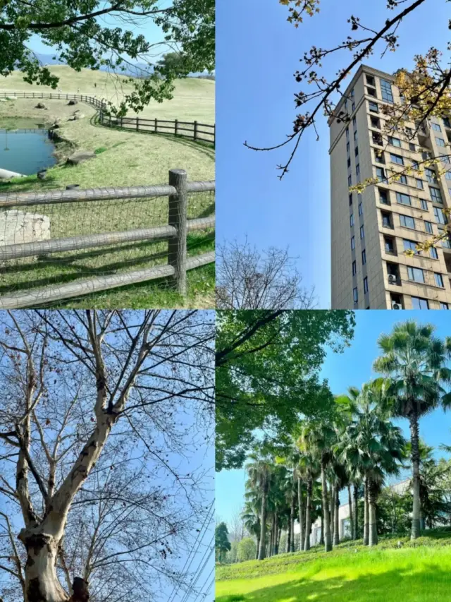 The World Through the Lens of a Photography Master 02 Daniel Casson