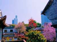 3 Days in Bustling Vivid Dongguan: Itinerary for Non-Stop Explorers