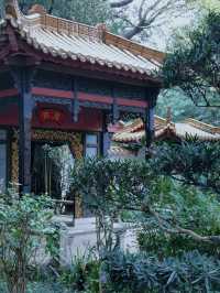 幽蘭深處，時光的呢喃——廣州蘭圃之行