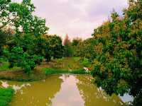 Haokun Wet Land Reserve: Ecological Treasure and Nature Beauty Museum
