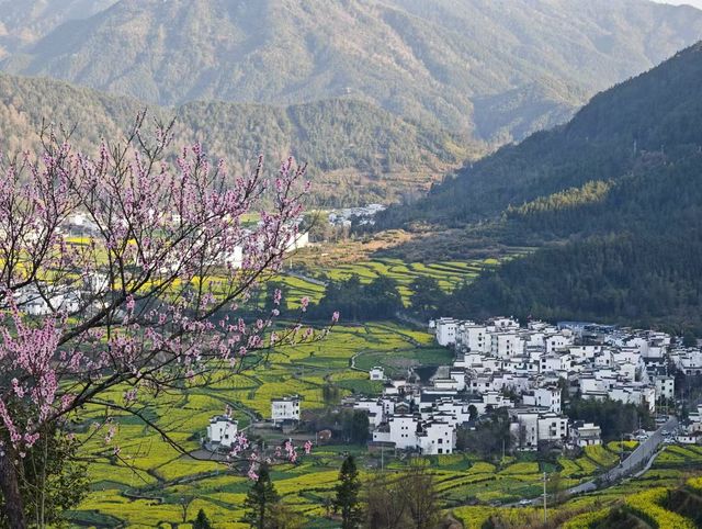 三月底婺源油菜花旅遊攻略