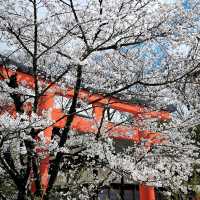 下鴨神社搶錢警報！輕鬆熊限定直接擊中我心❤️