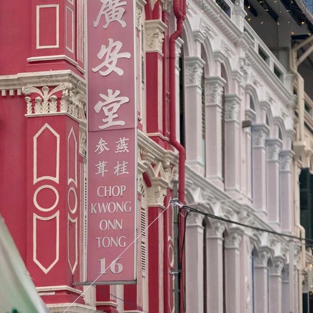 🎉《新加坡 | 牛車水，魅力十足嘅唐人街》🎉