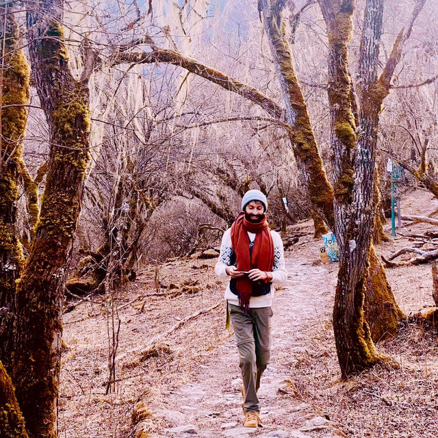 Mountain Village Stay | Sichuan