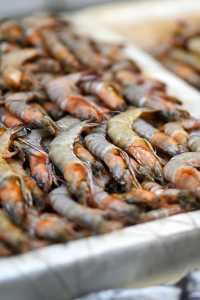 在紅海魚市場盡情享受味蕾盛宴——吉達中央海鮮市場