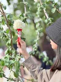 被軟萌的白色花球「霸道」暴擊～～