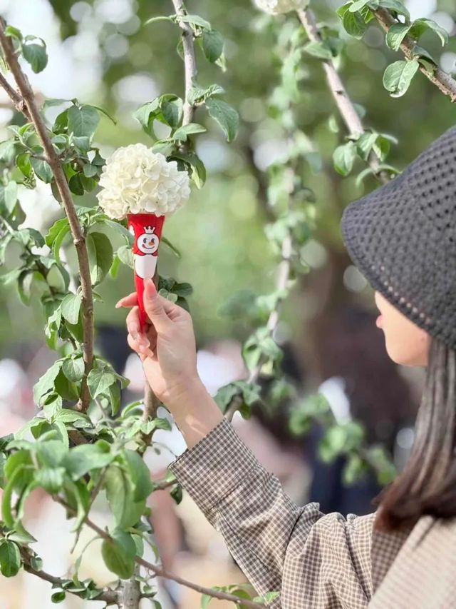 被軟萌的白色花球「霸道」暴擊～～