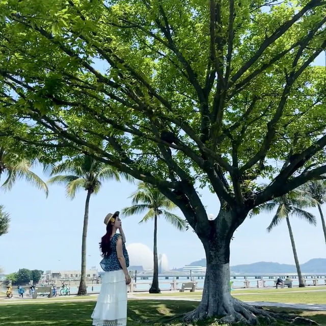 邂逅珠海日月貝，探尋小眾浪漫