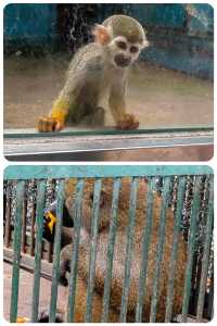 秦皇島 | 野生動物園