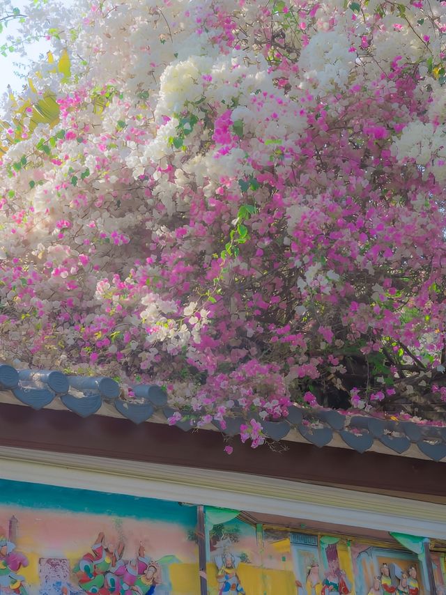 在園博園，看到了春日賞花天花板